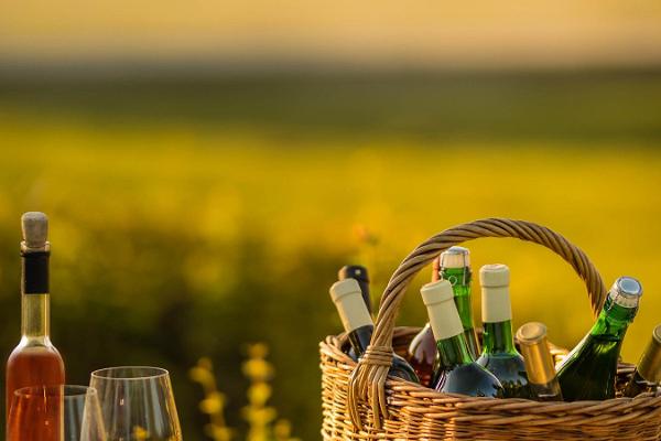 Verkostung von Craft-Weinen und Kräutertees auf dem Gutshof Aru 