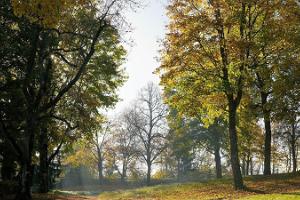 Rakvere Oak Grove Study Trail Estonia