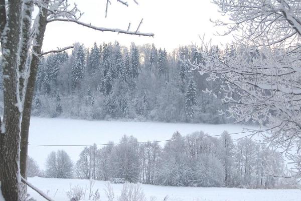 Sjön Uhtjärv i Urvaste erosionsdal