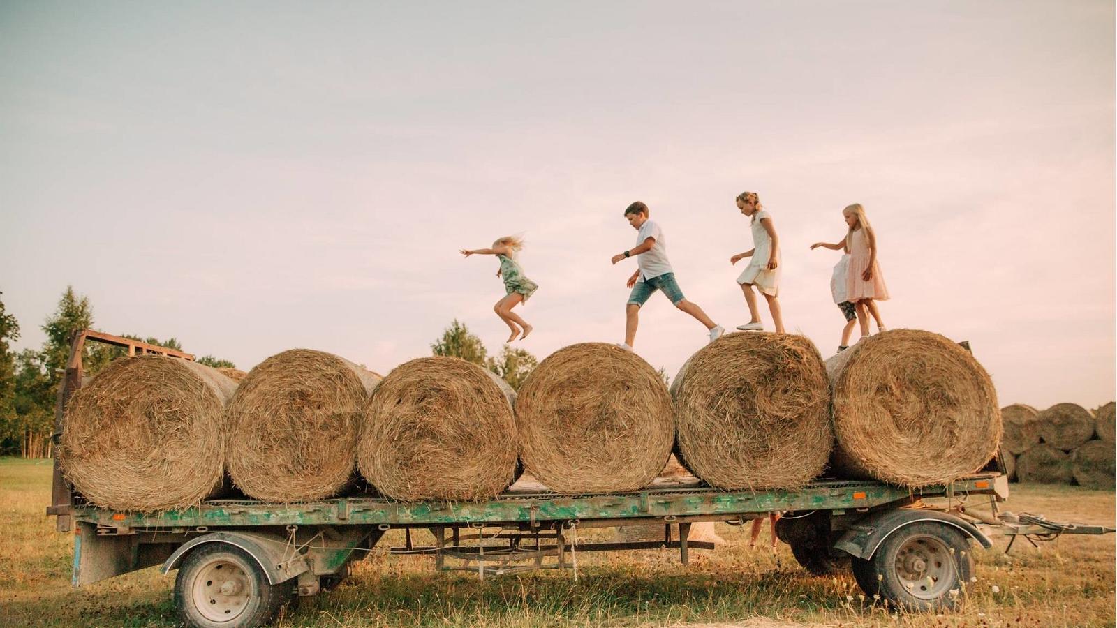 Andruse Organic and Tourism Farm