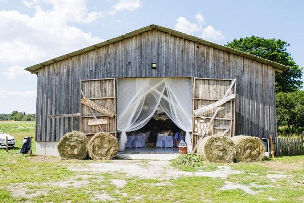 Andruse Organic and Tourism Farm