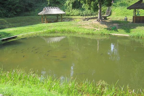 Forellenfang im Ferienkomplex im Piusa-Urtal