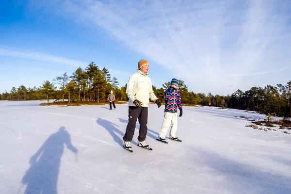 Skating trips in Kõrvemaa