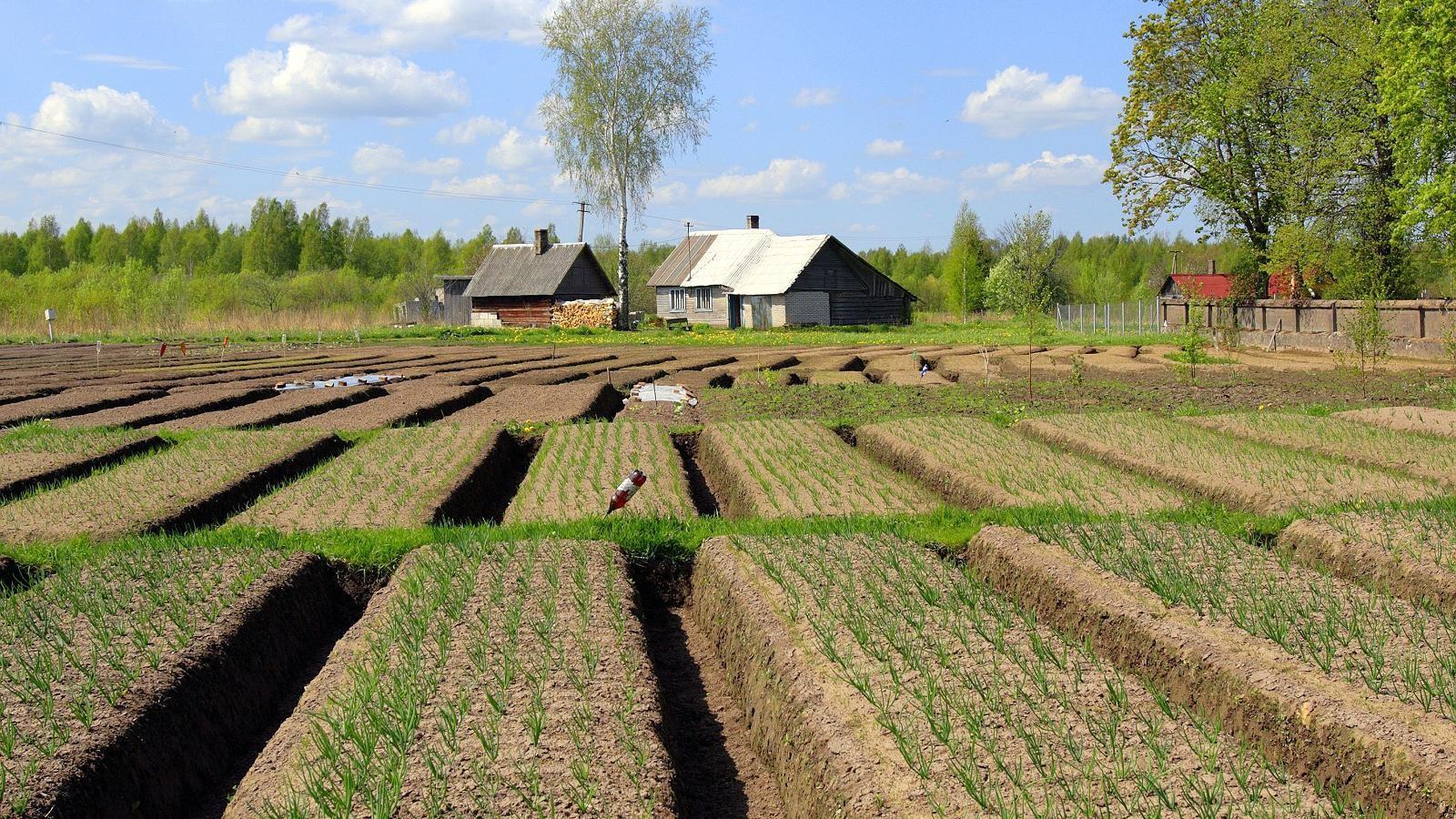 хутора в эстонии