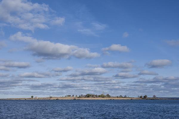 Seal-watching trips in Estonia