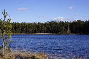 Озеро Палоярв