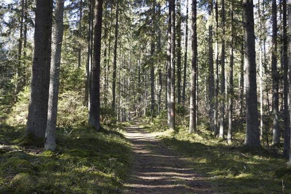 Lernpfad von Roiupalu