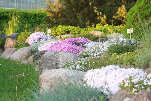 Garten der Sammlungen der Gartenbauschule Räpina