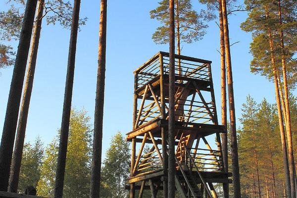 RMK Liipsaare observation tower