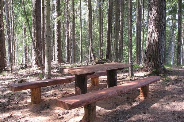 Pārgājienu taka "RMK Voorepalu Põrgurada"