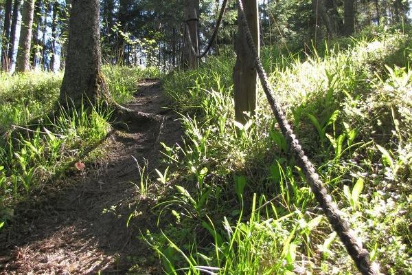 Pārgājienu taka "RMK Voorepalu Põrgurada"