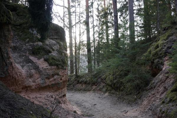 RMK Taevaskoja–Otteni–Taevaskoja hiking trail