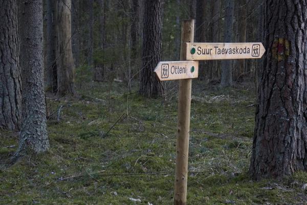 Wanderpfad Taevaskoja-Otteni-Taevaskoja der Staatlichen Forstverwaltung
