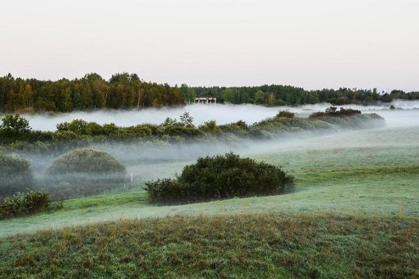 Kirumpää borgruin