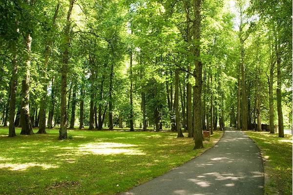 Ülenurme park