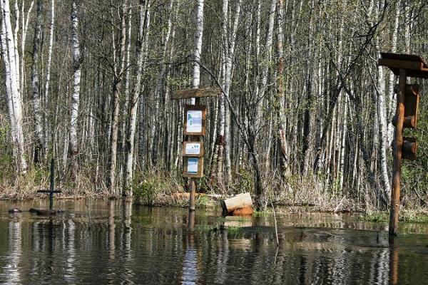 Lehrpfad am Fluss Emajõgi