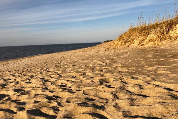 Туристическая тропа по песчаному побережью – биотопам Перакюла