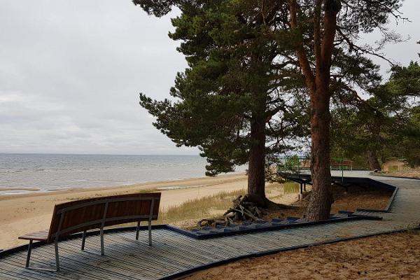 Viloområdet på norra kusten av Peipussjön och Kauksi Besökscenter