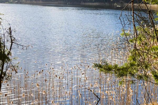 Lake Verijärv nature studies trail