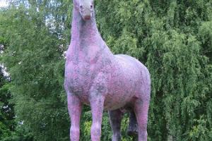 Памятник лошади в Луунья