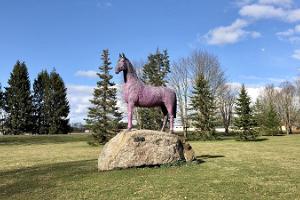 Памятник лошади в Луунья