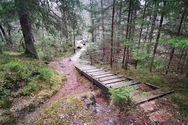 RMK Kilingi-Nõmme hiking trail