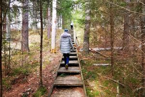 Wanderweg des Staatlichen Forstamtes in Kilingi-Nõmme