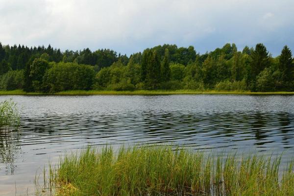 Lake Vaskna in Haanja 