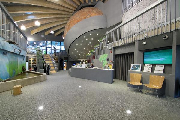 Pernova Naturhus guidad tur med filmupplevelse i planetarium