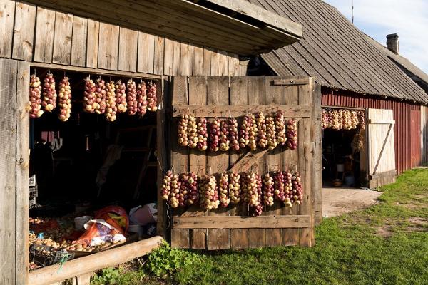 Смотровая вышка в Любнице