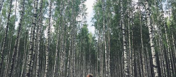 Прогулка в эстонском лесу
