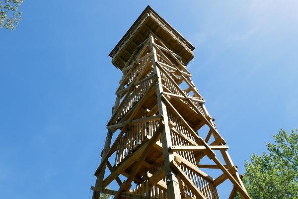 Iisaku hill nature reserve and viewing tower