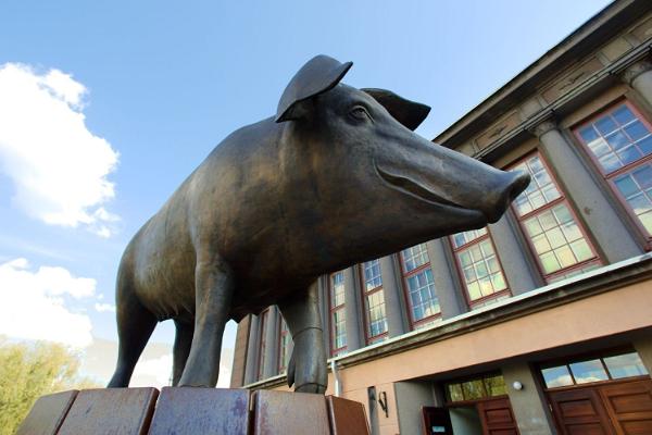 Markthalle in Tartu: vor dem Marktgebäude grüßt das Bronzene Schwein