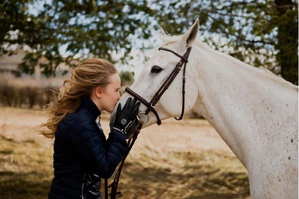 fotosessioon noorest neiust ja valgest hobusest