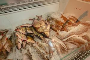 Rannapuura fiskbutik, ett brett sortiment av färsk fisk från Peipussjön