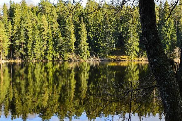 Lake Verijärv nature studies trail