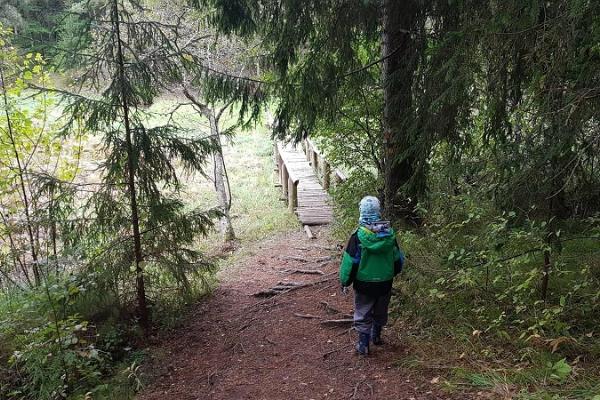 Wanderweg im Urstromtal der Elva und der Zeltplatz in Illi