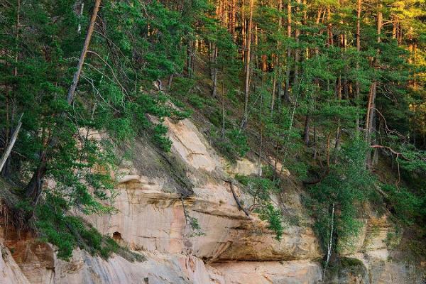 Die Härma-Mauern im Urstromtal des Flusses Piusa