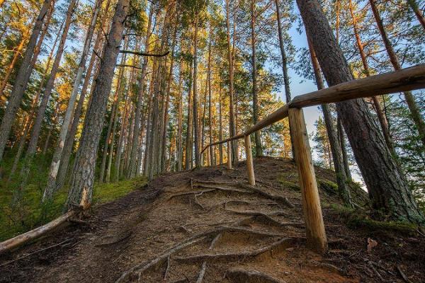 Die Härma-Mauern im Urstromtal des Flusses Piusa