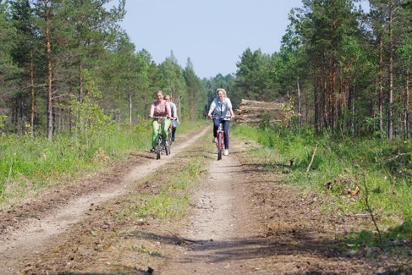Wanderweg „Grüne Schienen“ von Viljandi nach Mõisaküla