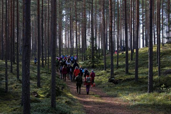 RMK Nohipalo õpperada