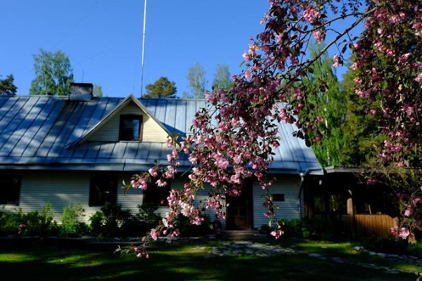 Felting workshops at Kallaste Farm