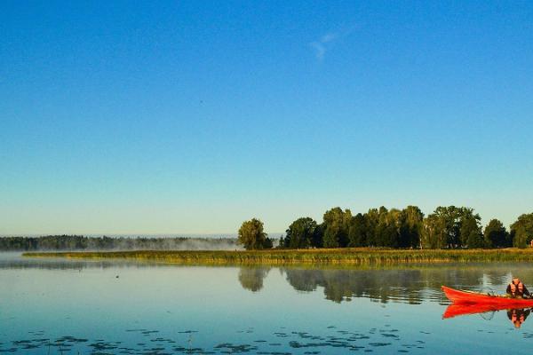 Tamula järv