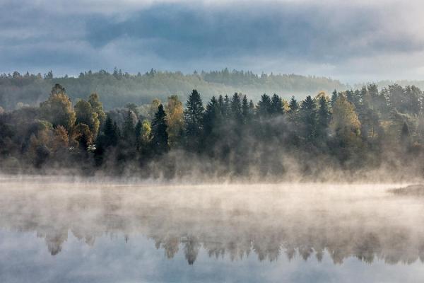 Tamula järv