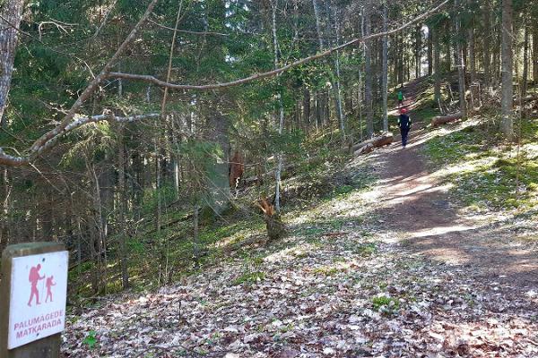 Palumägede Wanderweg und Lagerfeuerplatz