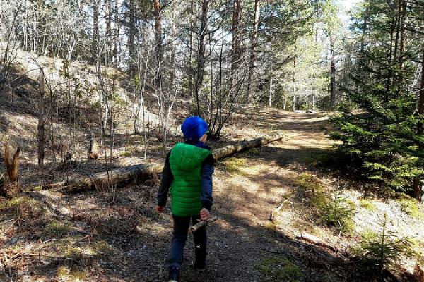 Palumägeden vaellusreitti ja nuotiopaikka