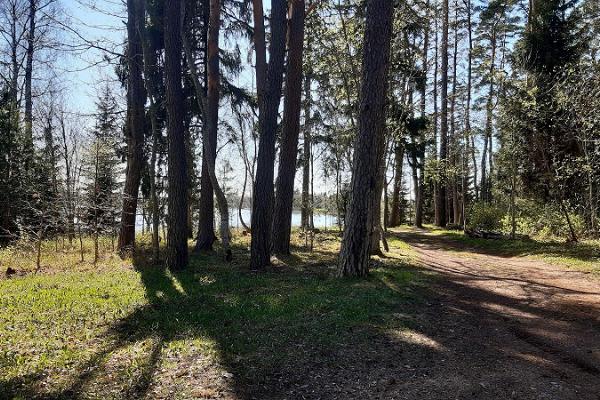 Pikksaare Wanderpfad und Lagerfeuerplatz Pangodi