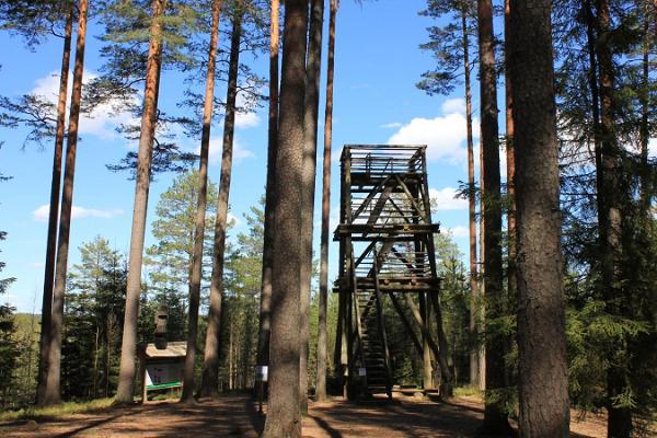 RMK Liipsaare observation tower