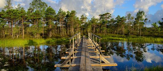 visit estonia, nature, hiking, hiking trails 