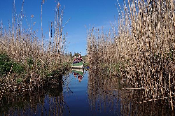 Поход на каноэ по водному пути на озерах Коорасте